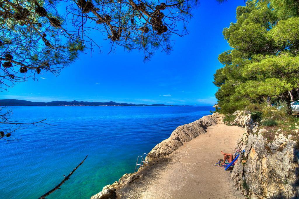 Vedrana Zadar