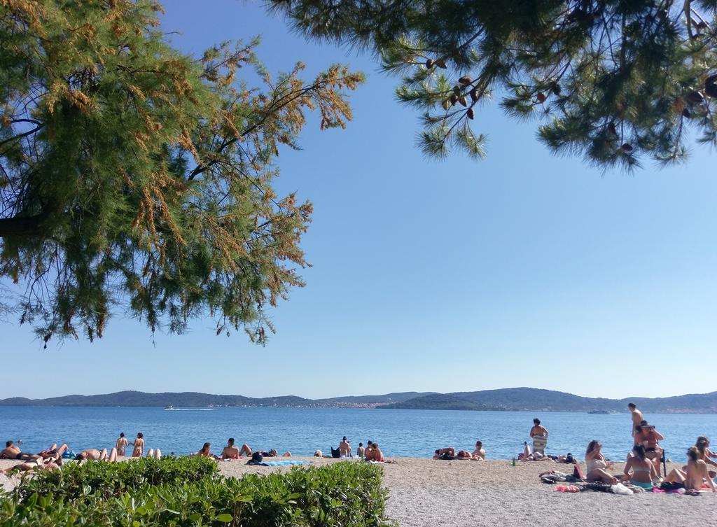 Vedrana *